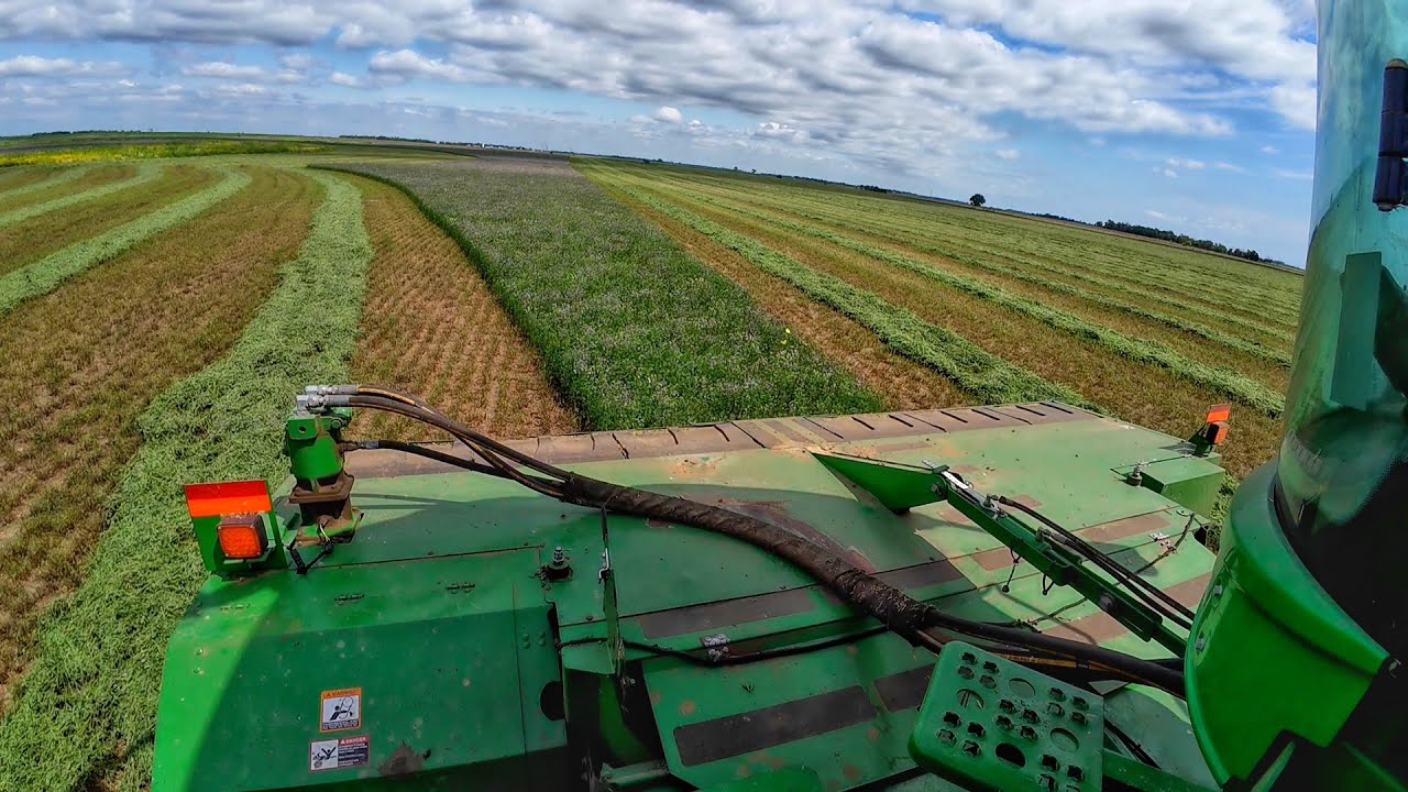 Windrowing Alfalfa and Grass in South Dakota