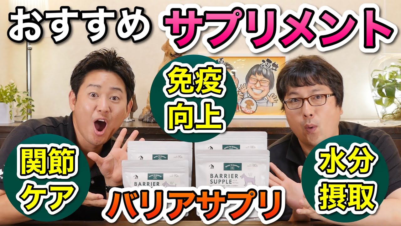 【腸活・関節ケアにおすすめのサプリメント！】バリアサプリをペットショップ店長が解説します！