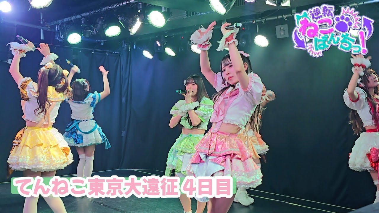 逆転ねこぱんちっ！『てんねこ×あたぱち東京大遠征 4日目』 🗓️2026.にこの日🎀 📍新宿Biske “前編”