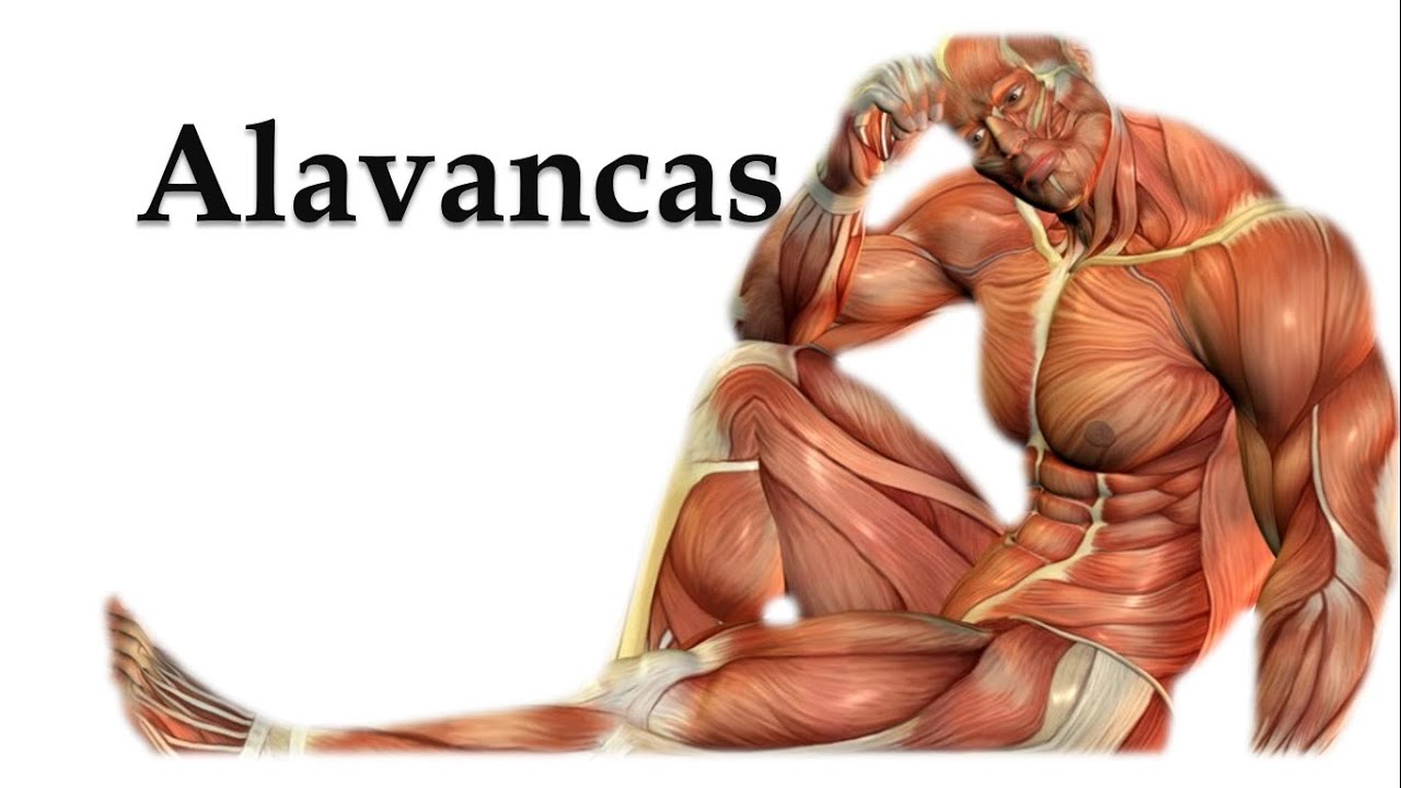 ALAVANCAS - DEFINIÇÃO E CLASSIFICAÇÃO