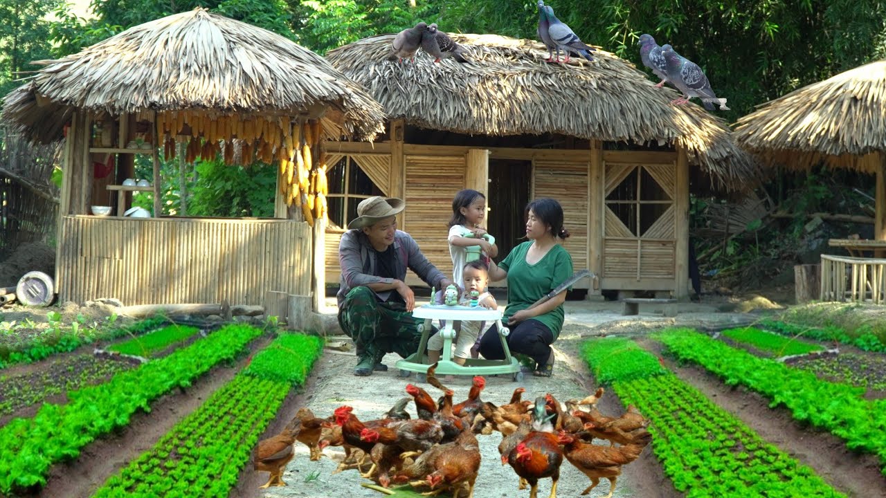 Can the girl A Pao helps on the sidewalk bring happiness to his family? -  A Pao TV