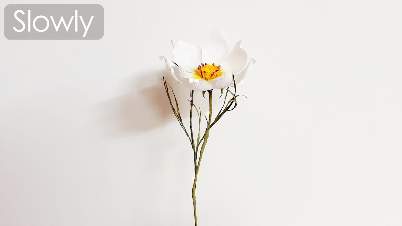 How to make White Cosmos with crepe paper n.30(slow ver.) Craft Tutorial | DIY | Healing