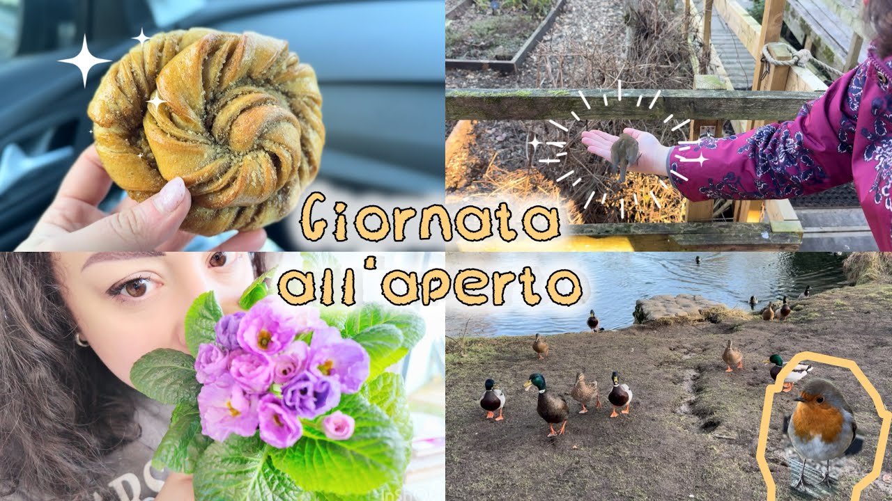 COUNTRY DAY👒Farm vibes🪴Ha mangiato dalle mie mani🐤✨🤩Arriva la primavera?🥕🌸
