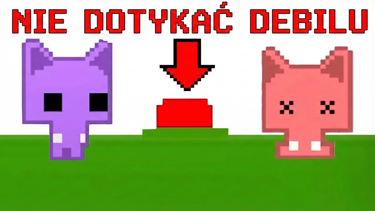 EWIDENTNIE NIE POTRAFIMY MYŚLEĆ (debile)