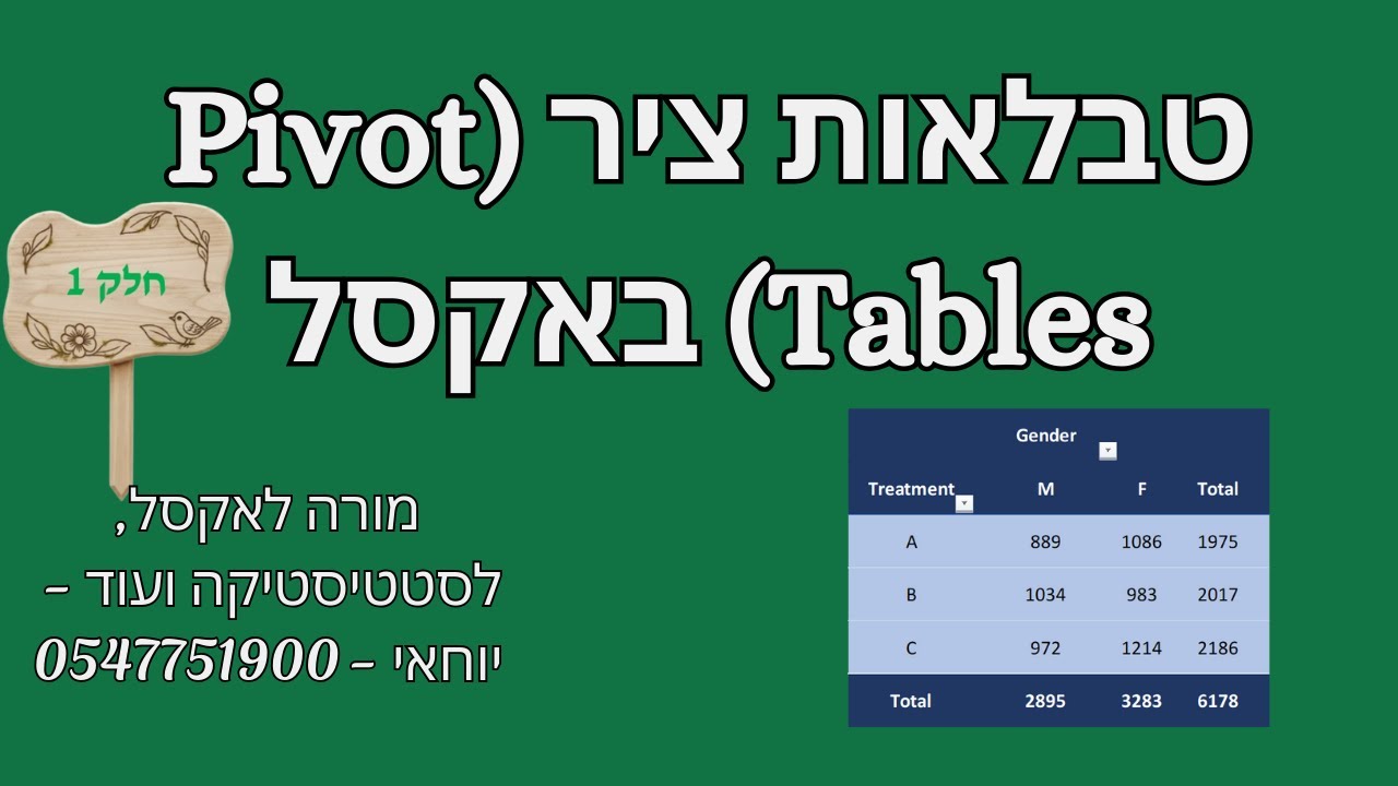 מה זה טבלאות ציר (Pivot Tables) באקסל - חלק 1 (יסודות) | יוחאי - מורה פרטי לאקסל (פרטים בתיאור)