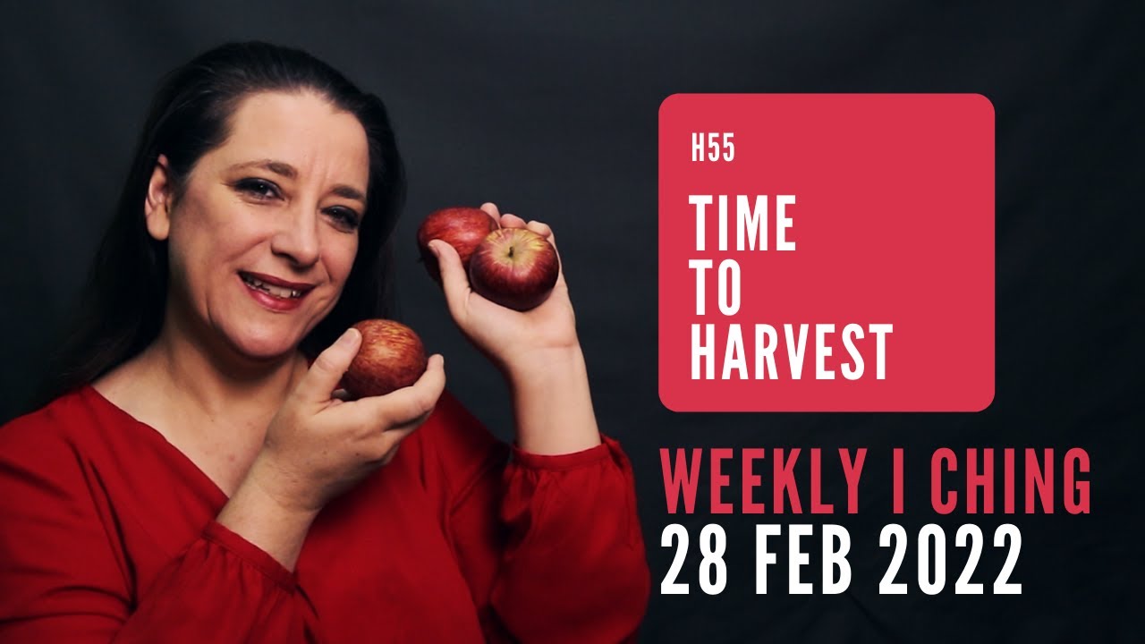 Time to Harvest // Weekly I Ching 28 Feb-6 Mar 2022 // Hexagram 55