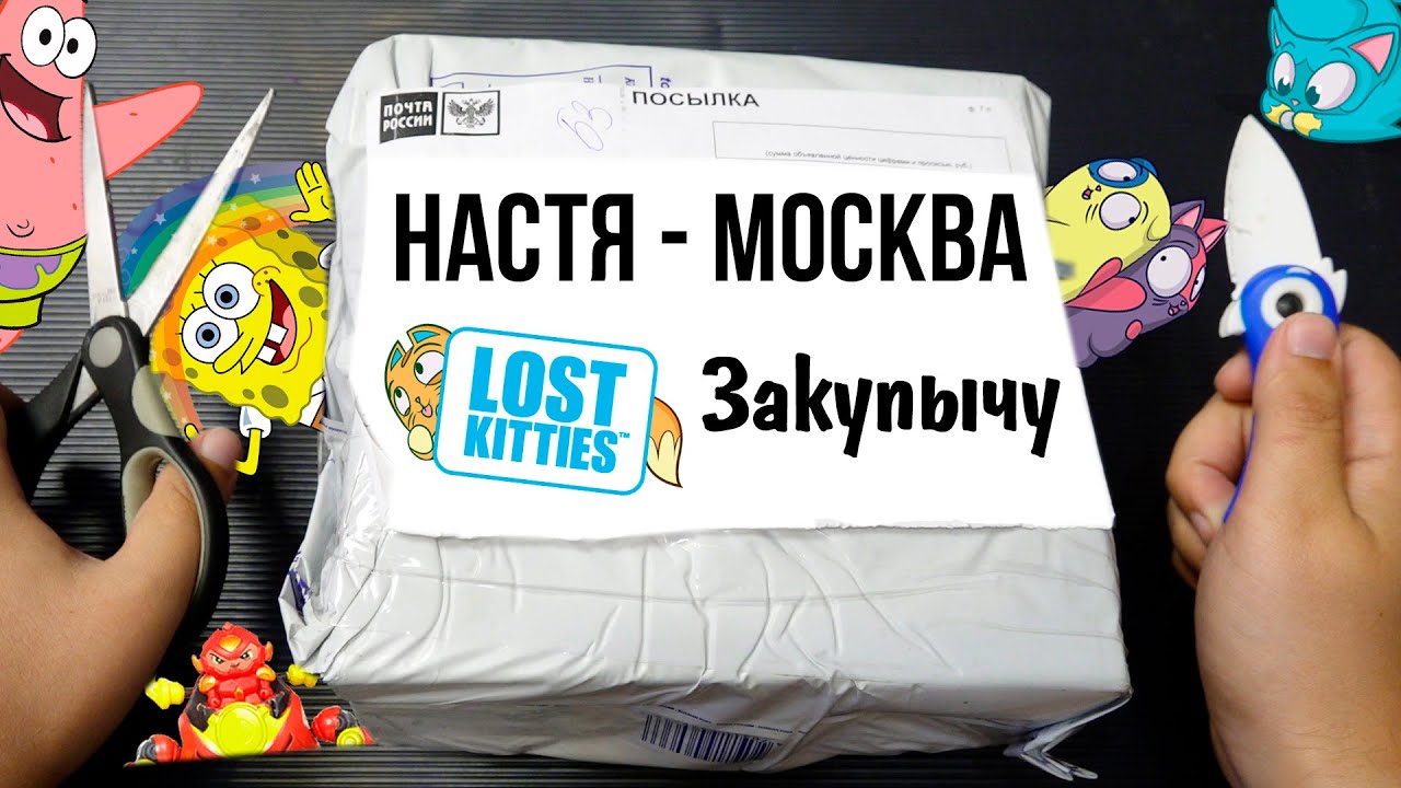 ПОСЫЛКА ОТ ПОДПИСЧИКА! Настя из Москвы / CHIPICAO / Lost Kitties / Ready2Robot
