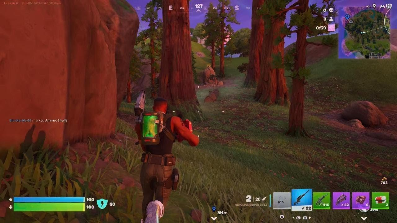 Fortnite_20260110152726
