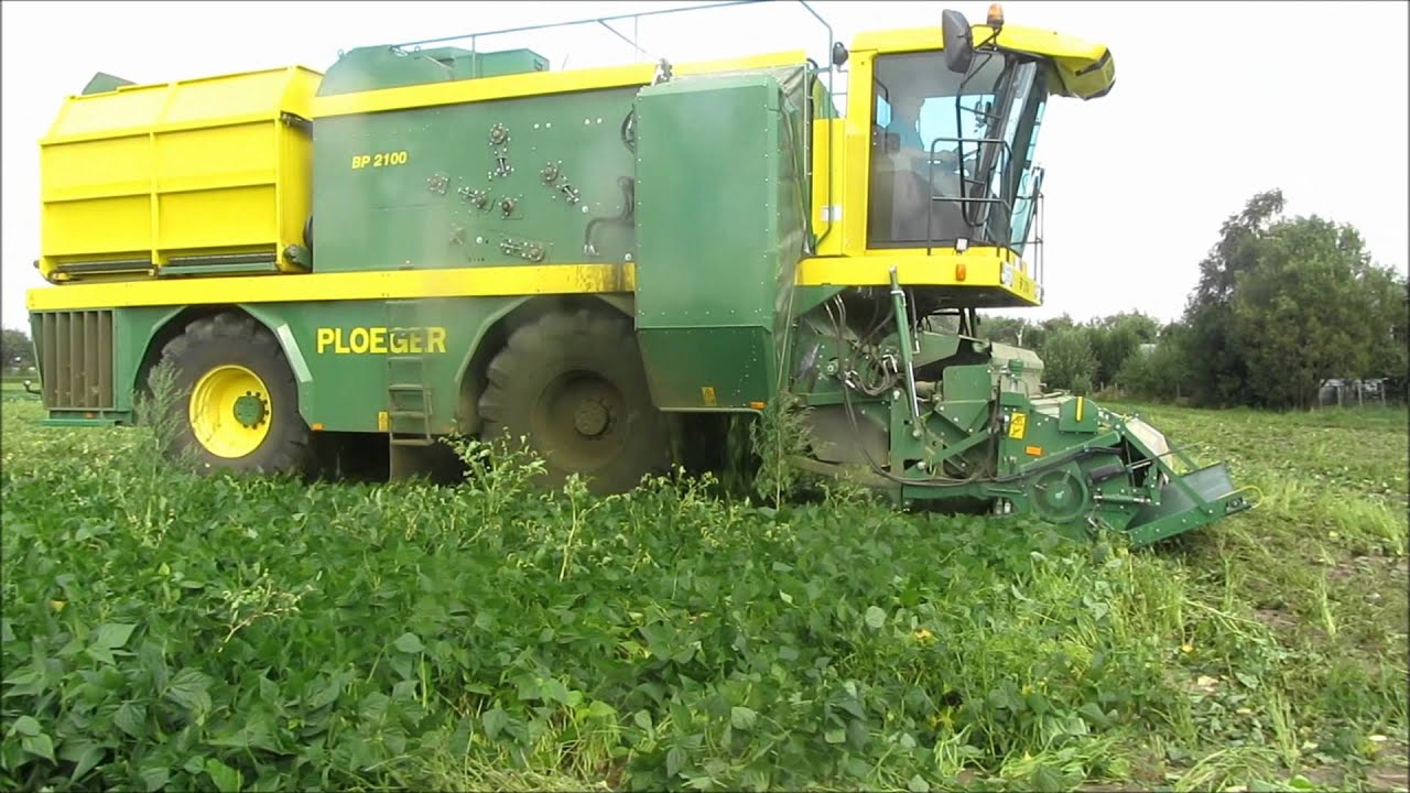 Ploeger BP 2000 & 2100 bonen plukken - Deruyttere uit Kortemark