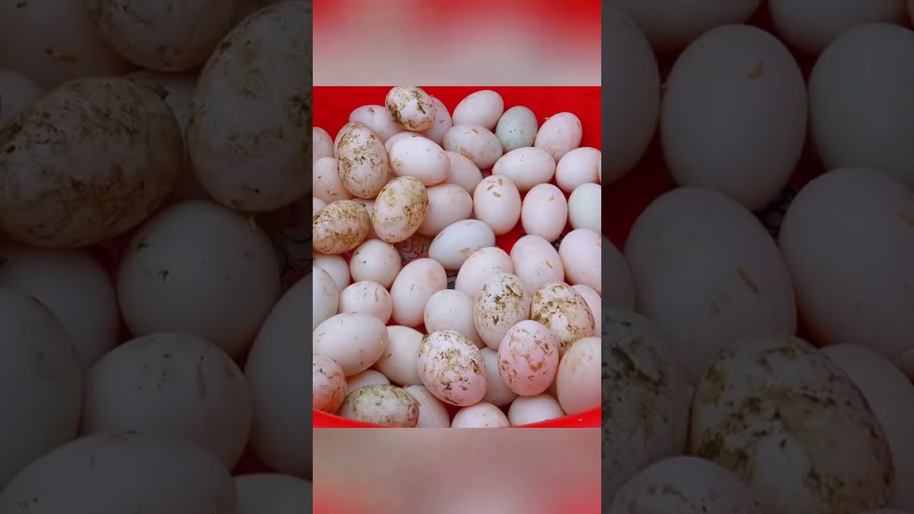 single mother life #daily #build #farmlife #LifeHack #village 🇬🇧