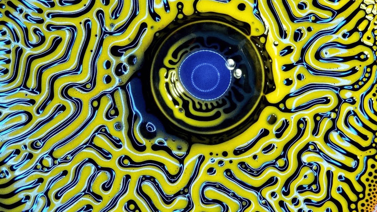 Ferrofluid Art Meets Macro Photography