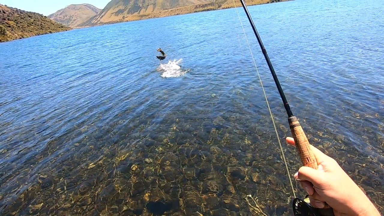 Fly fishing New Zealand..BIG RAINBOWS & BROWNS  a great day on the lake