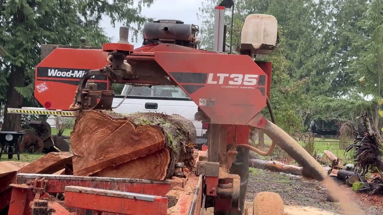 Harvesting & Milling Western Red Cedar Trees for Winter Building Projects! 🌲🌲🌲