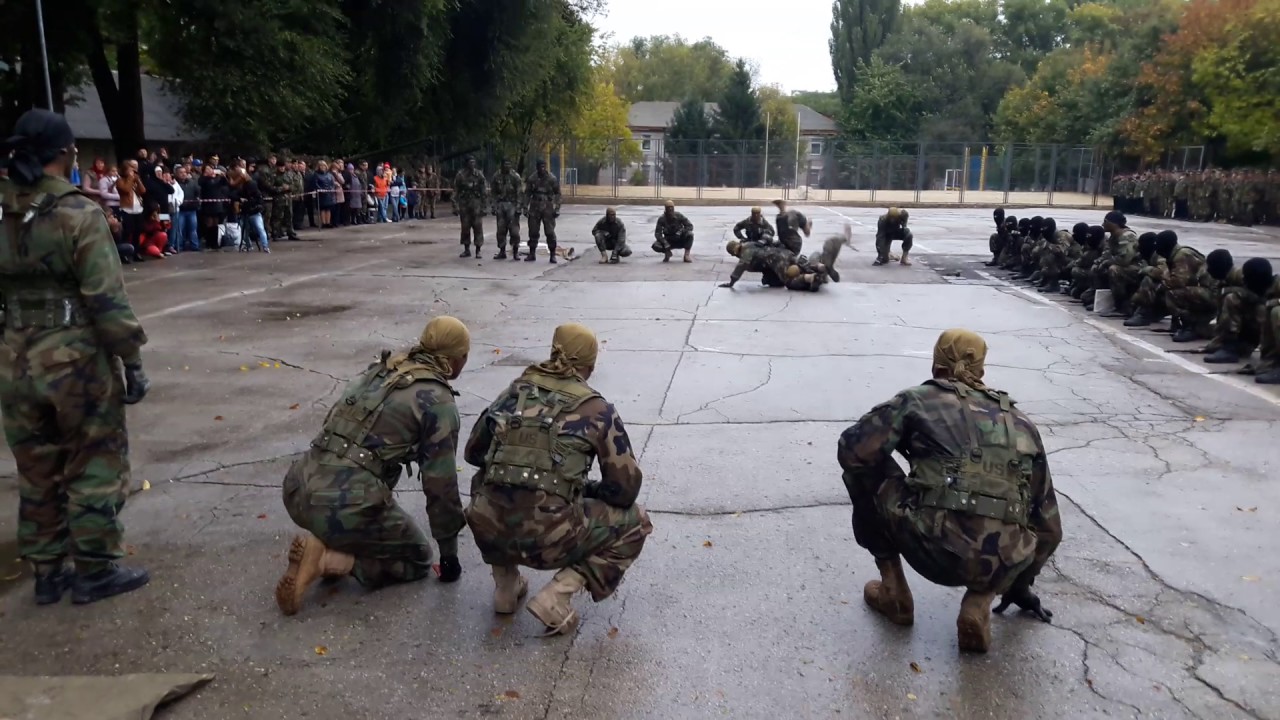 ziua brigazii 2 IM Stefan cel Mare compania Cercetare 2015-2016