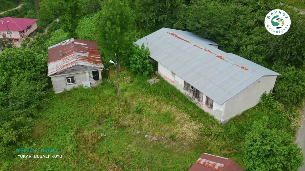 Beykoz'un Renkleri: Giresun Tirebolu Yukarı Boğalı Köyü