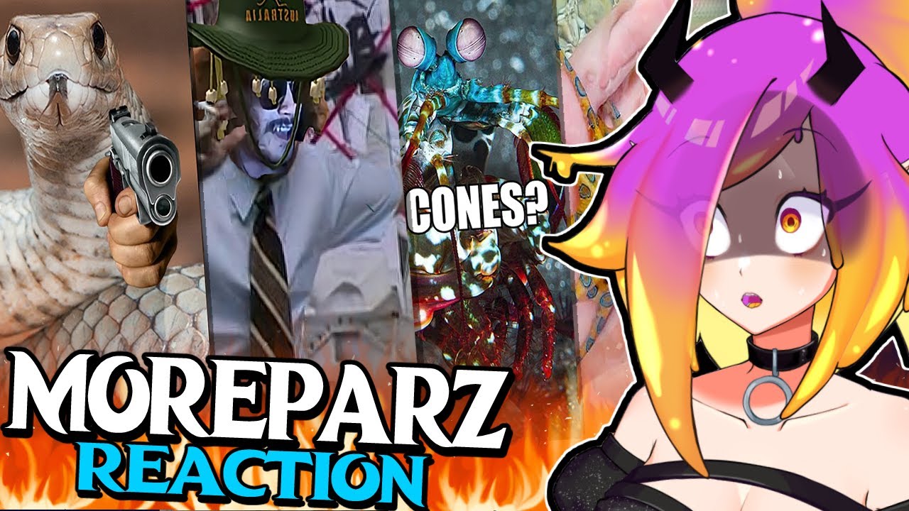 HOW DOES THIS EXIST?! - Certified Australia More Parz Reaction