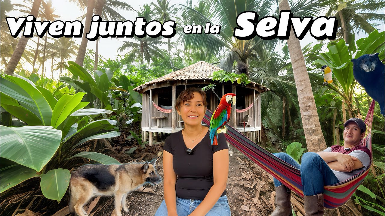 Viven JUNTOS en la SELVA AMAZÓNICA conviven con animales silvestres   