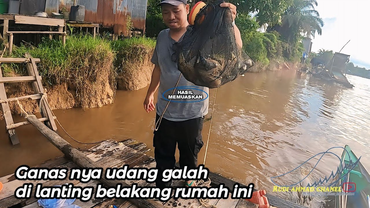 Ganas dan banyak udang galah di spot lanting belakang rumah