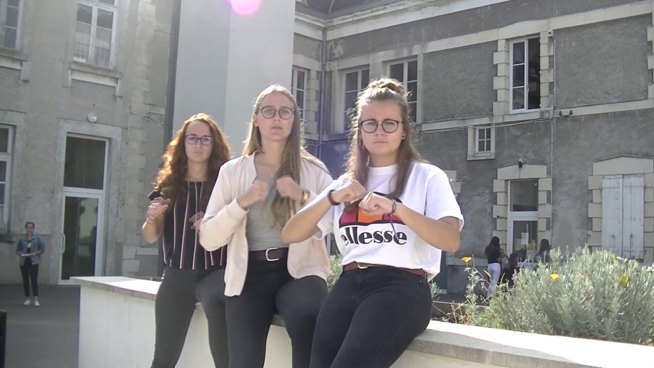 Chant signé LSF "Dommage"
