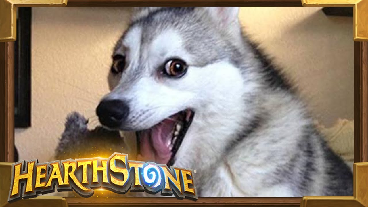 Das ist alles ein schlechter Scherz | Hearthstone