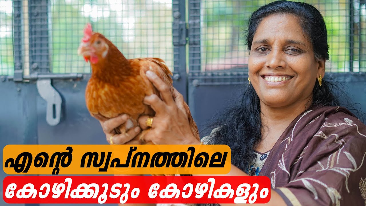 എൻ്റെ സ്വപ്നത്തിലെ കോഴിക്കൂടും കോഴികളും | Minis Lifestyle