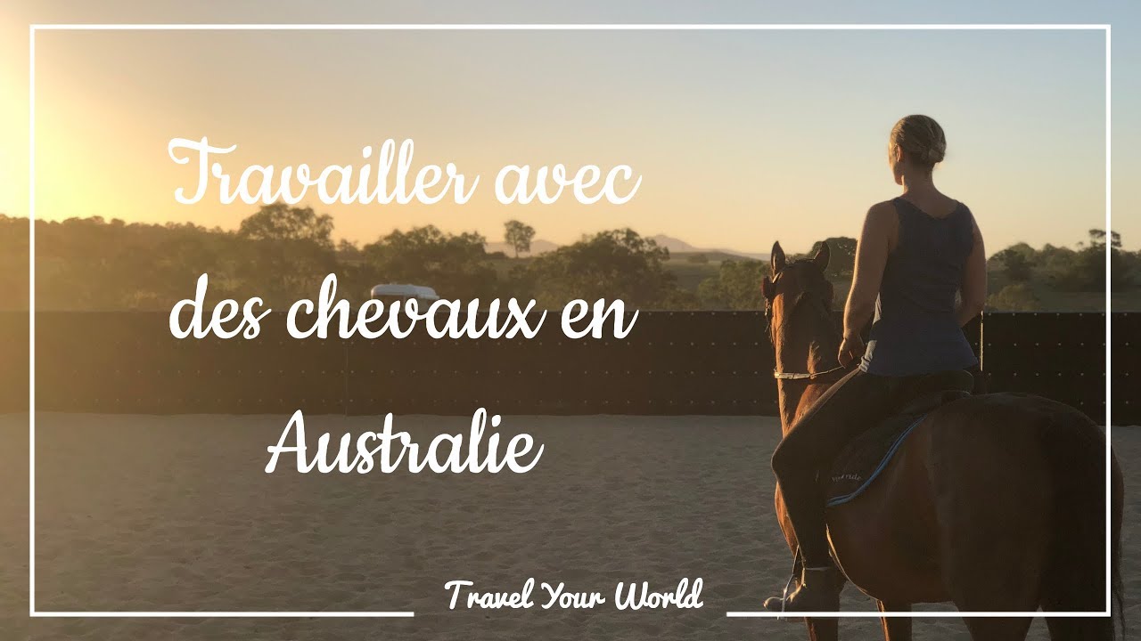 Travailler avec des chevaux en Australie - Part 2 - Travel Your World