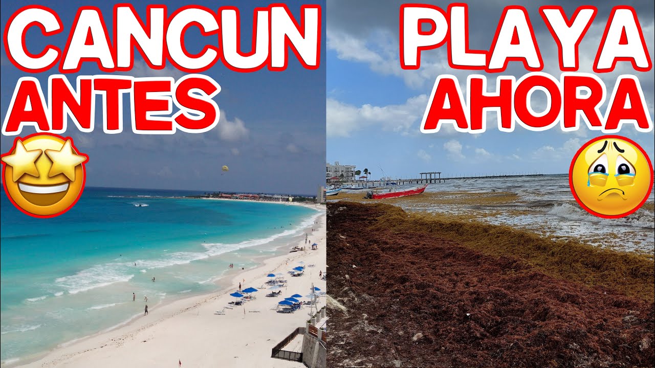 CANCÚN SARGAZO 2025 - PLAYAS sin SARGAZO SARGASSO