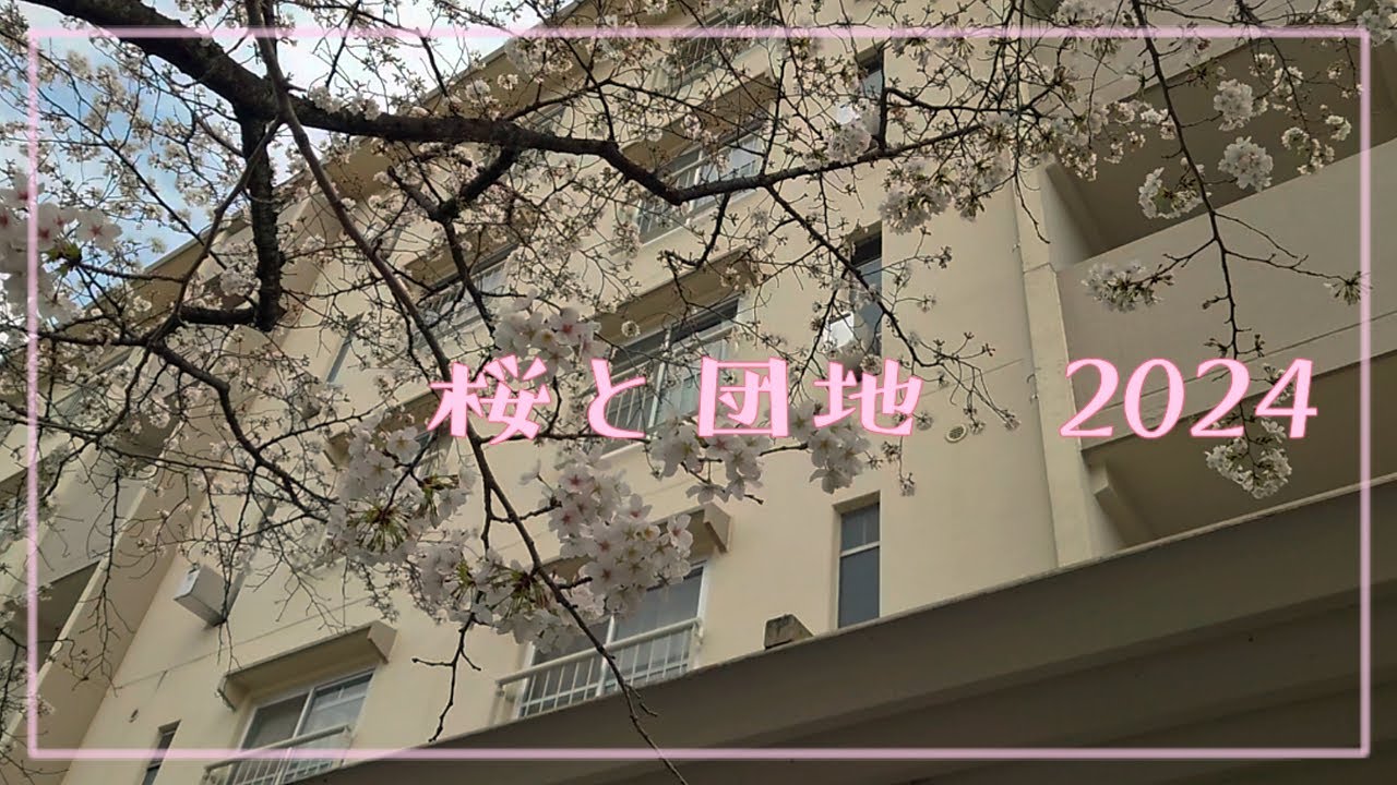 【桜と団地】幸手団地のエモい春の風景。6街区除却工事の進捗も。