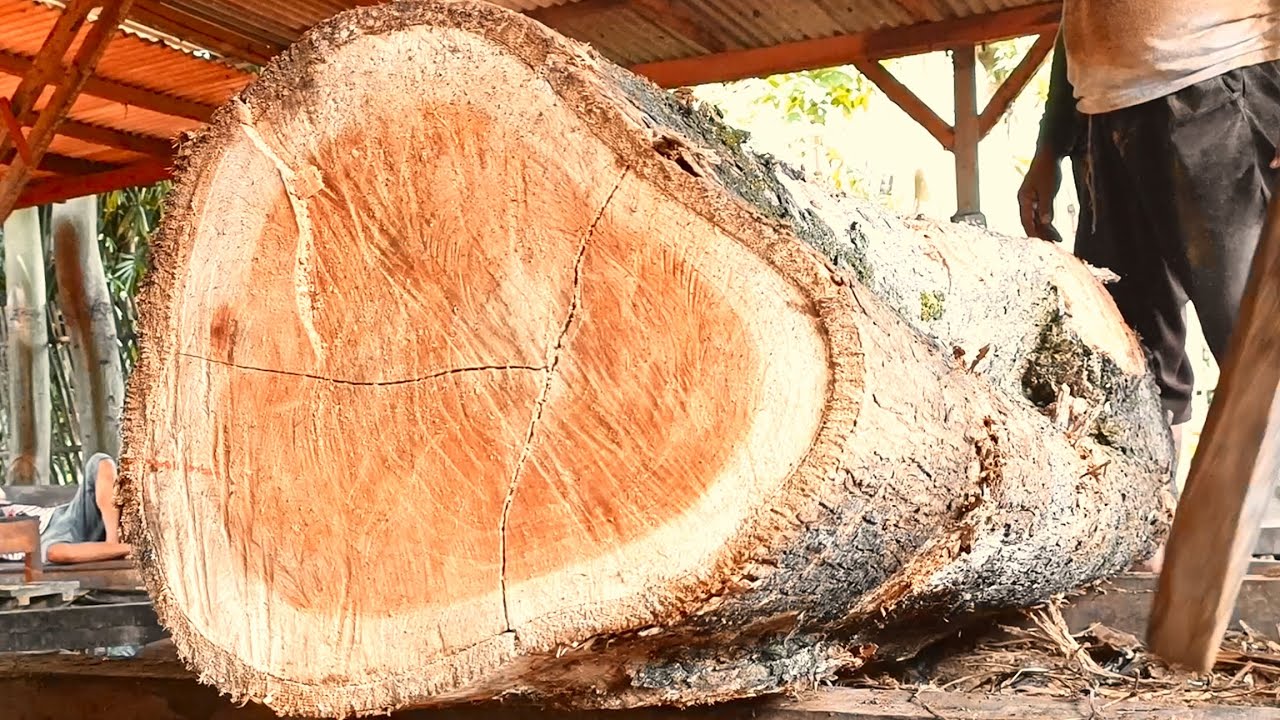 The extraordinary skill of sawing logs processing them into beautiful slabs At the sawmill