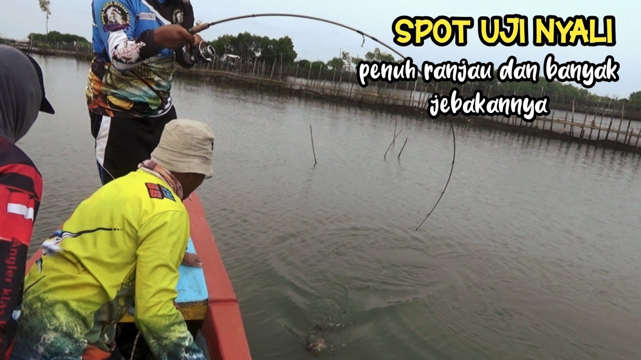 Gerak Cepat Biar Ikan Nggak Masuk Ke Sarang ‼️ Mancing Kerapu Besar