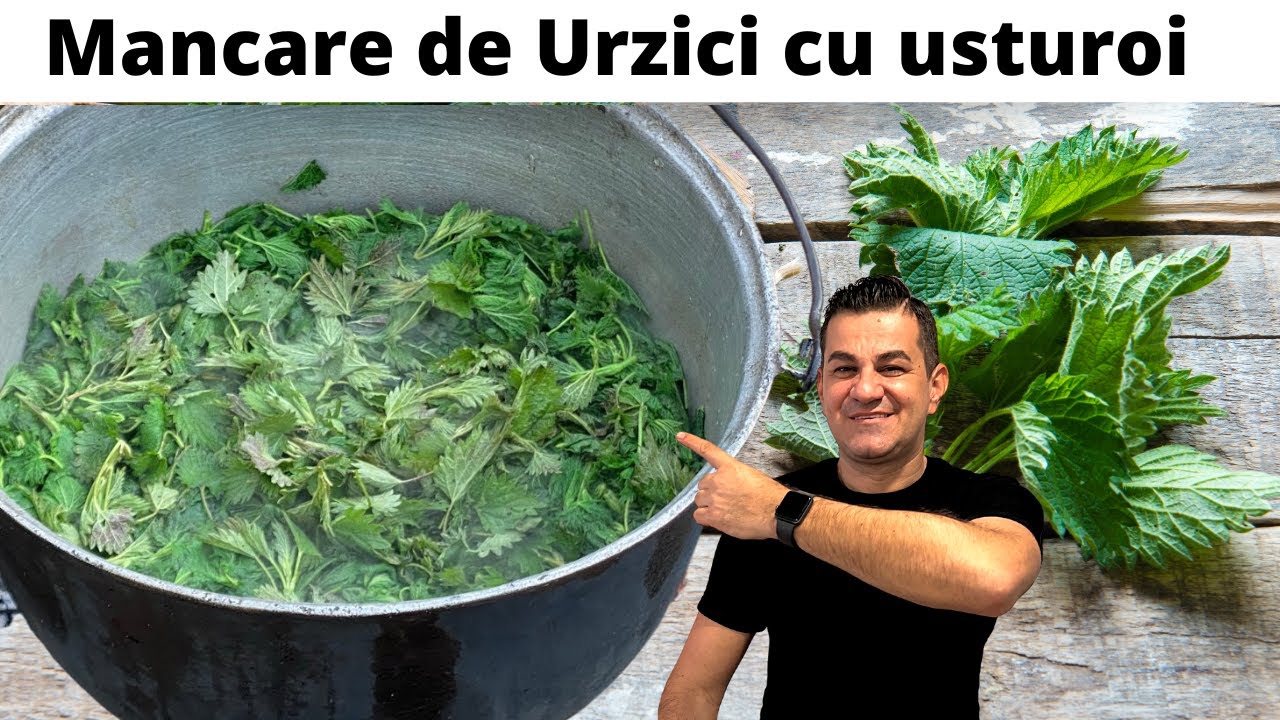 Пюре из крапивы двудомной (Piure de Urzici) by Sebi