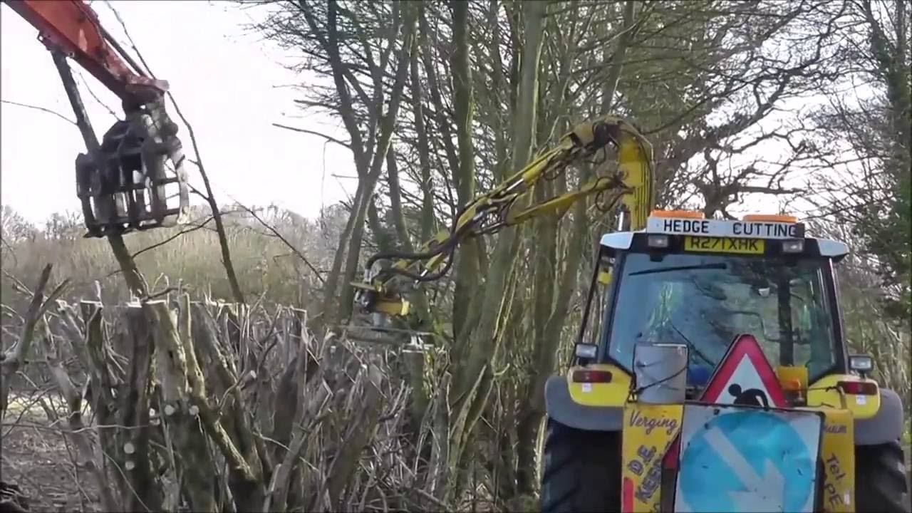 Sawing Hedges with Hitachi 360 and grab