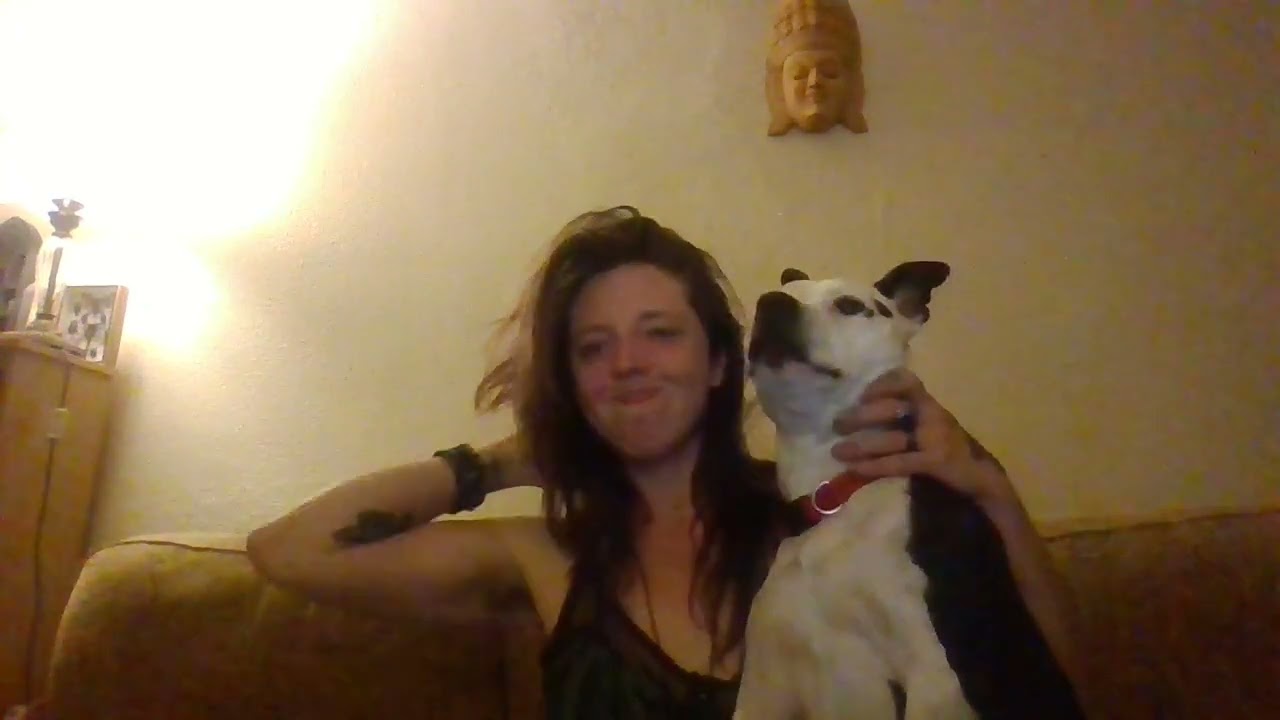 Our Average Night in One Year and Counting!