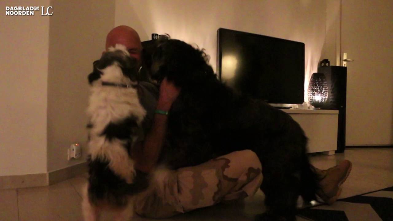 Militair Wim Schoo ziet bij thuiskomst voor het eerst weer zijn honden