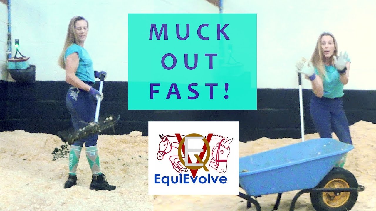 How To Muck Out A Horse