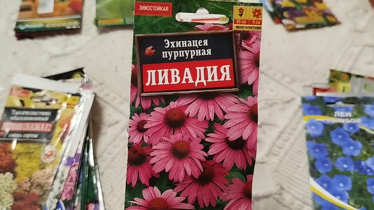 Шуршим семенами многолетников на 2026 год