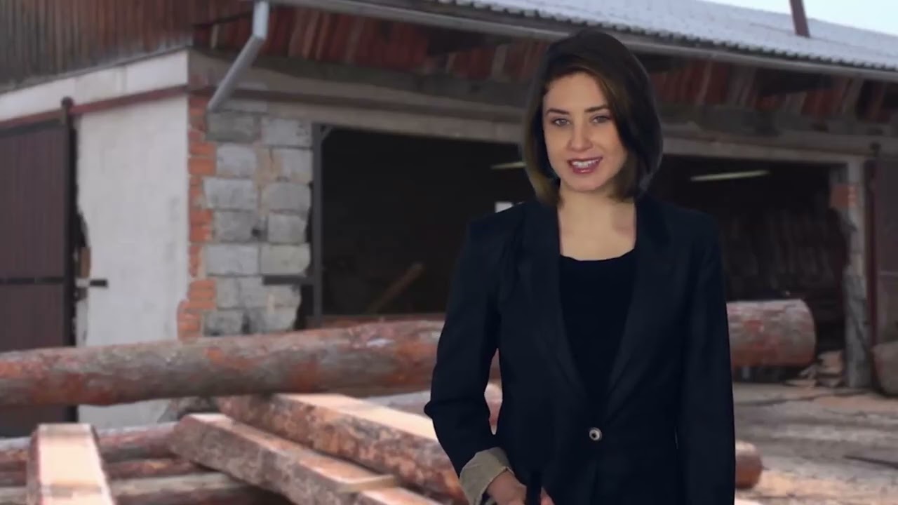 Technik technologii drewna