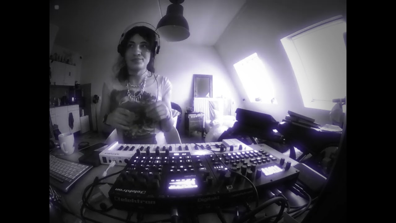 Lowfi house on digitakt | Merelprrrr #digitakt #house #lowfi #electronicmusic #120bpm #music