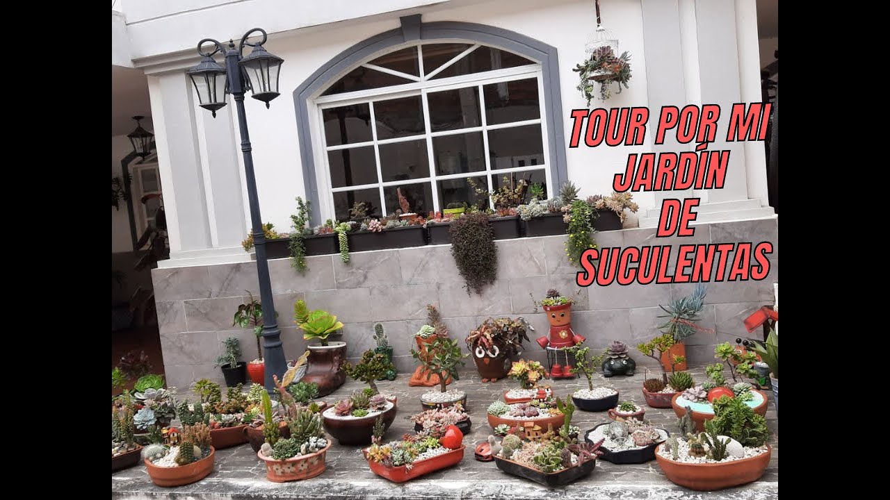 TOUR POR MI JARDÍN DE SUCULENTAS 🪴🍀🌵