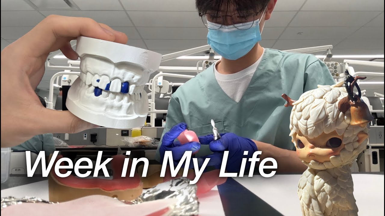 Week in My Life: UofT Dental Student | 토론토 대학교 치대생 브이로그