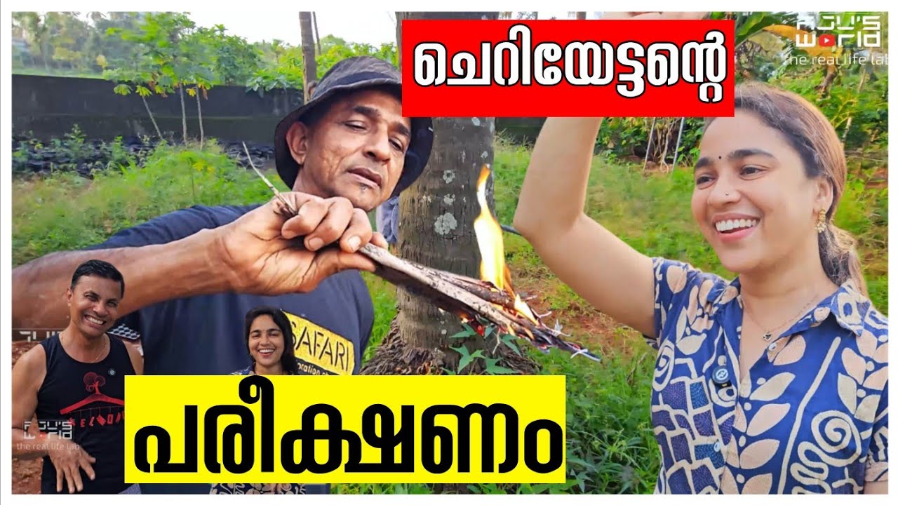 ചെറിയേട്ടന്റെ പരീക്ഷണം 😂/  Family vlog /Snacks /egg recipe /Agriculture /Adukkalathottam making 