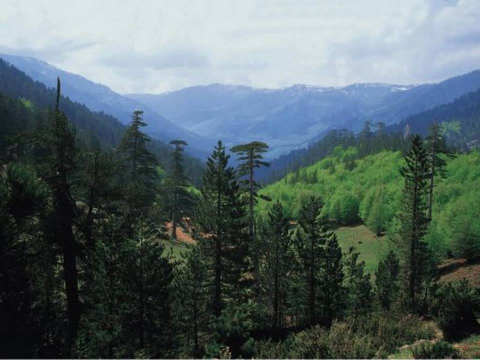 KOSTAS TSIOTIKAS NEW 2010.wmv