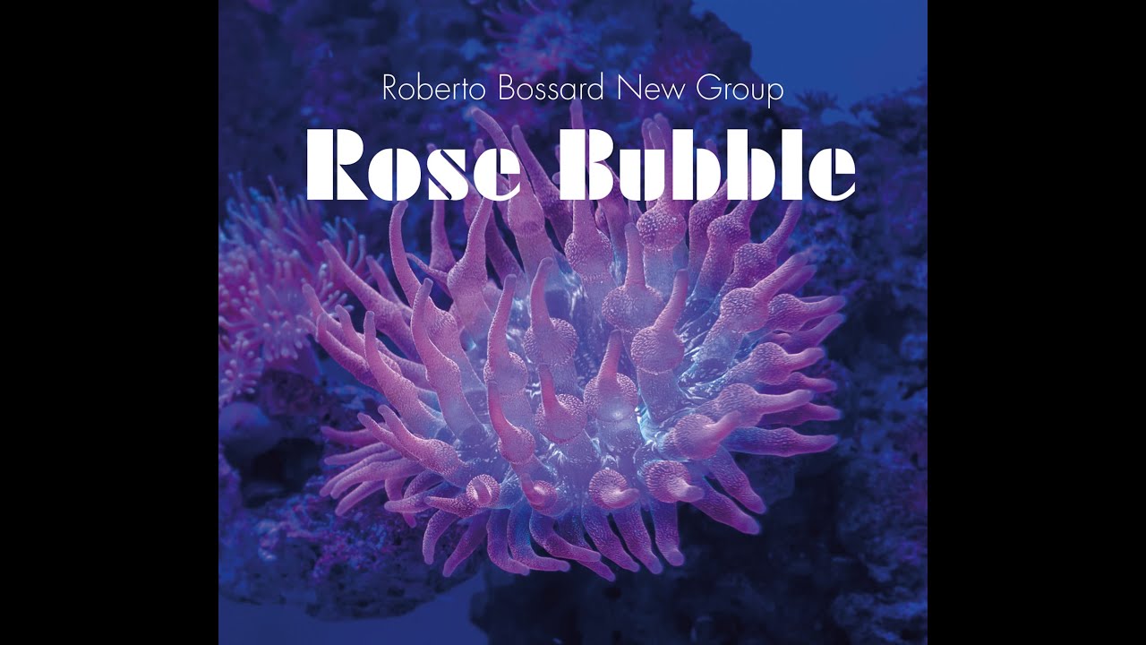 Roberto Bossard New Group - AlbumTeaser Rose Bubble