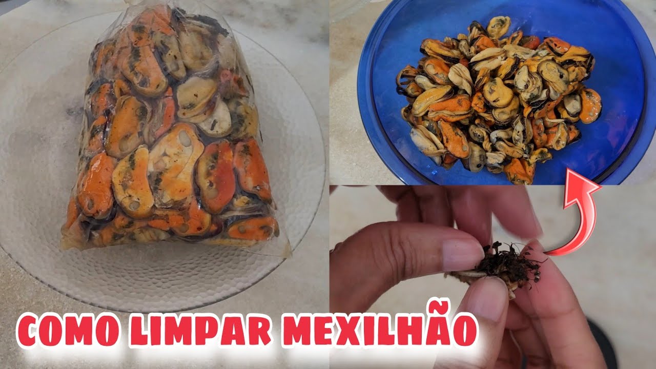 COMO LIMPAR MEXILHÃO | Como Limpar Marisco, Mexilhão Descascado, Unha de Velho | Como limpar sururu