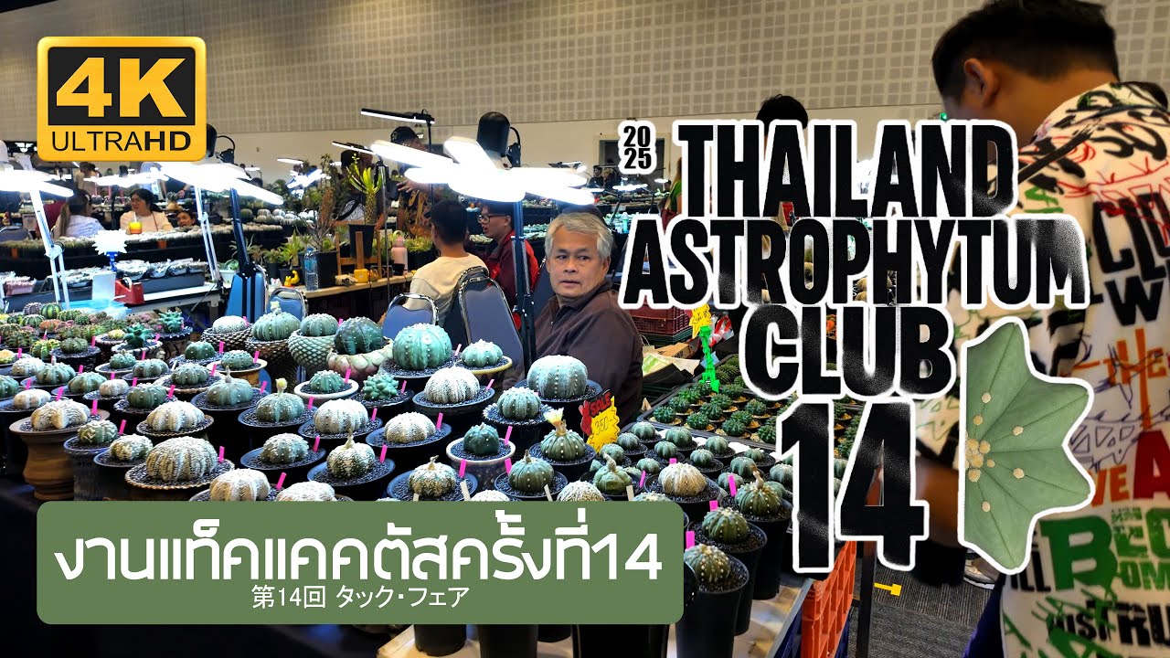 งานแท็คแอสโตรไฟตัม ครั้งที่ 14 THAILAND ASTROPHYTUM CLUB 14th TAC 2025 แคคตัส タック Bangkok Thailand