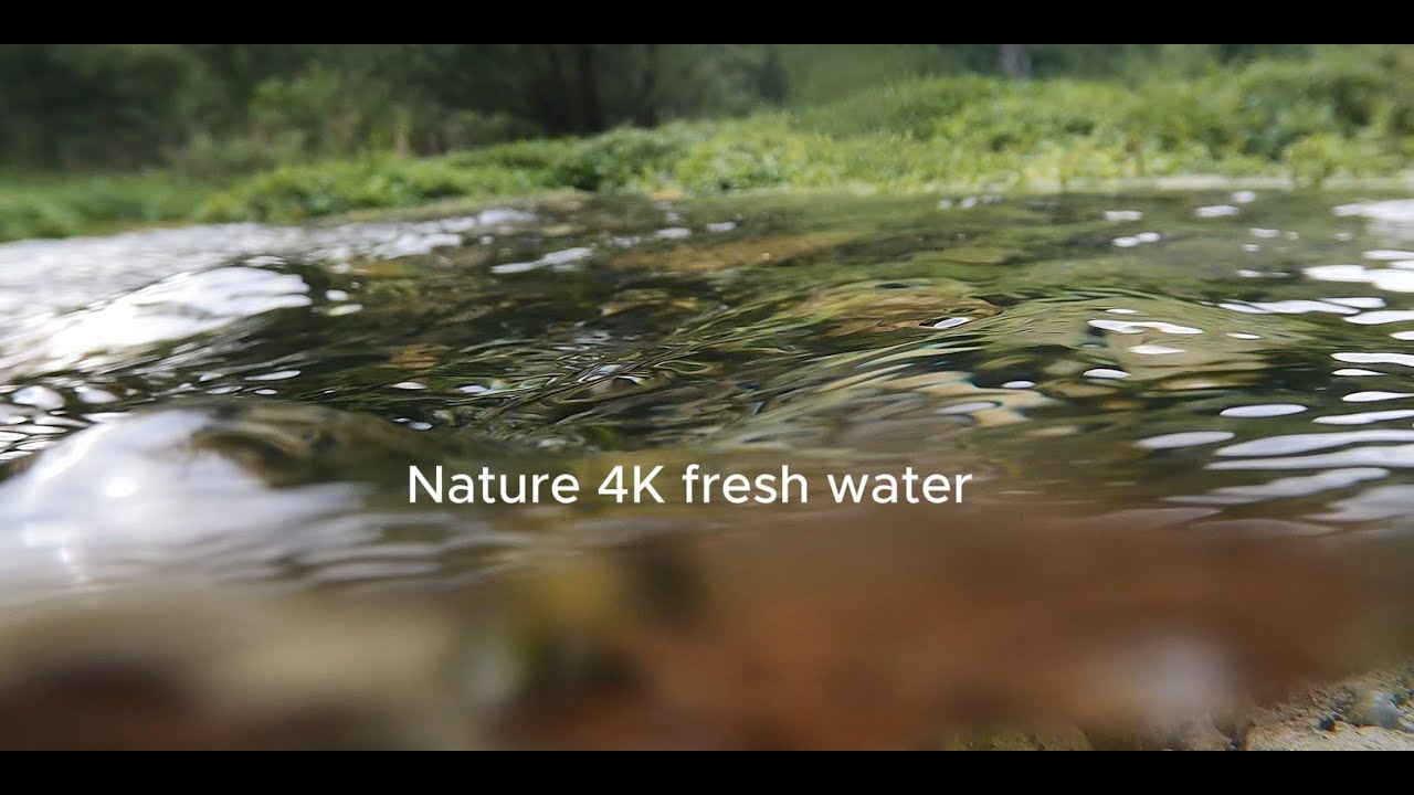 NATURE 4K FRESH WATER