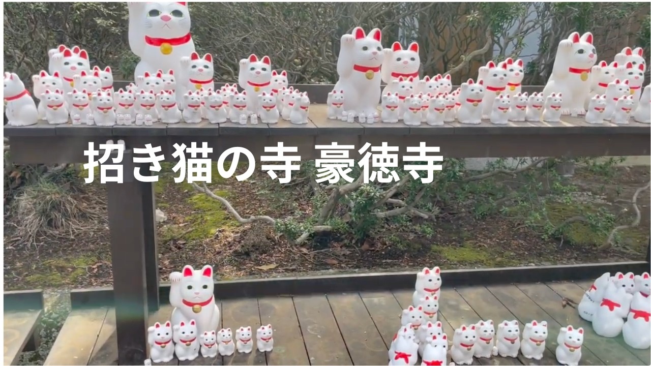 豪徳寺を散歩｜招き猫の寺と梅ヶ丘・羽根木公園を街歩き