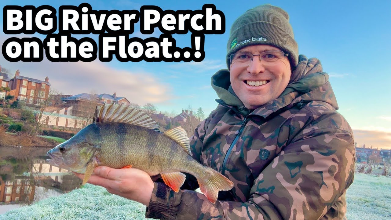 БОЛЬШОЙ РЕЧНОЙ ОКУНЬ на ПОПЛАВКЕ!..! Сессия RED LETTER на реке Северн!