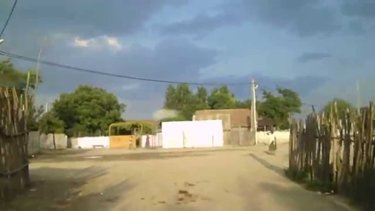 Amarastii de Jos, sat Ocolna. Tiganie 100%