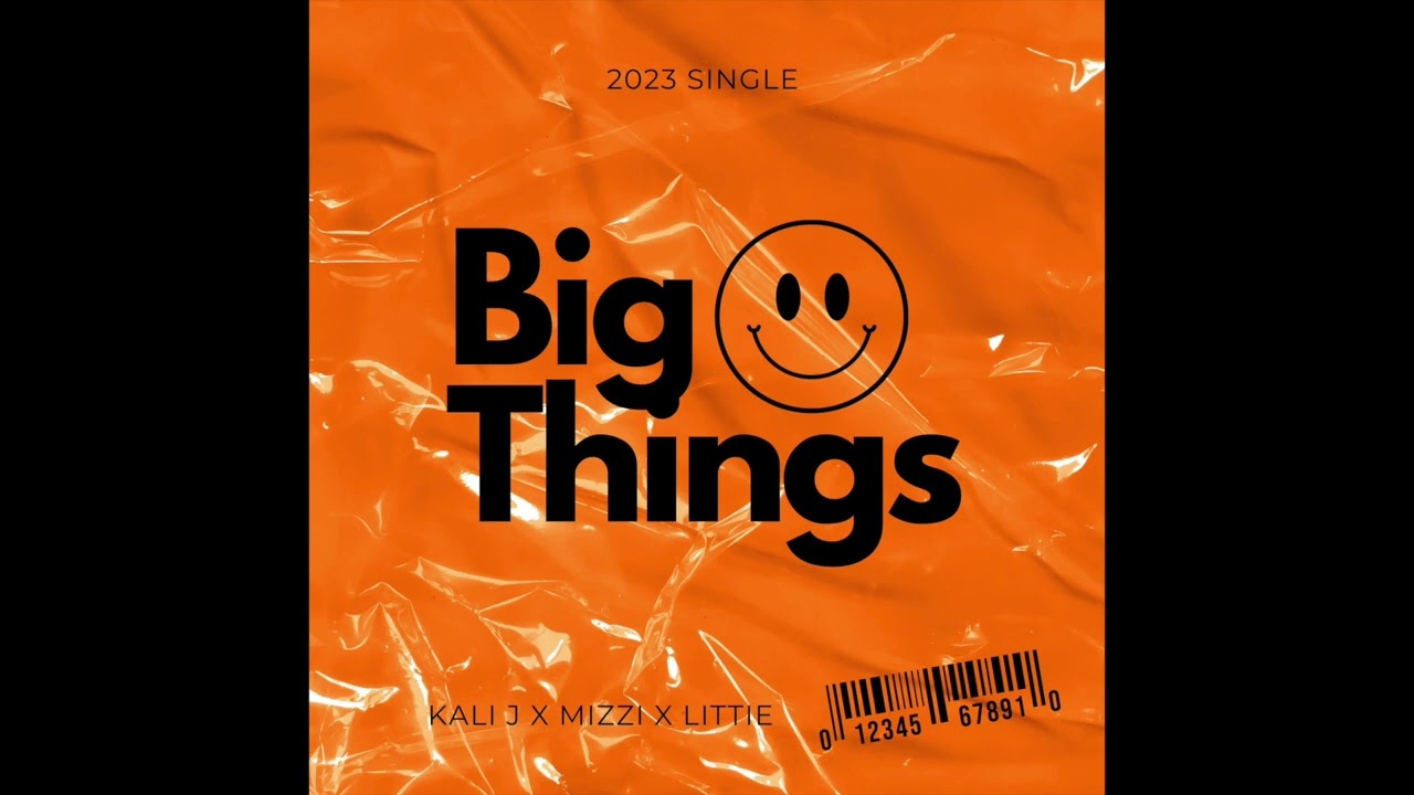 MIZZI x Kali J x LiTTiE - BIG THINGS - (Official Audio)